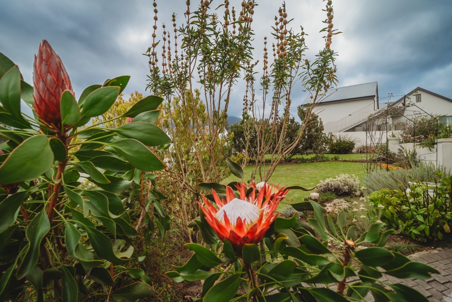 4 Bedroom Property for Sale in Mont Fleur Mountain Estate Western Cape